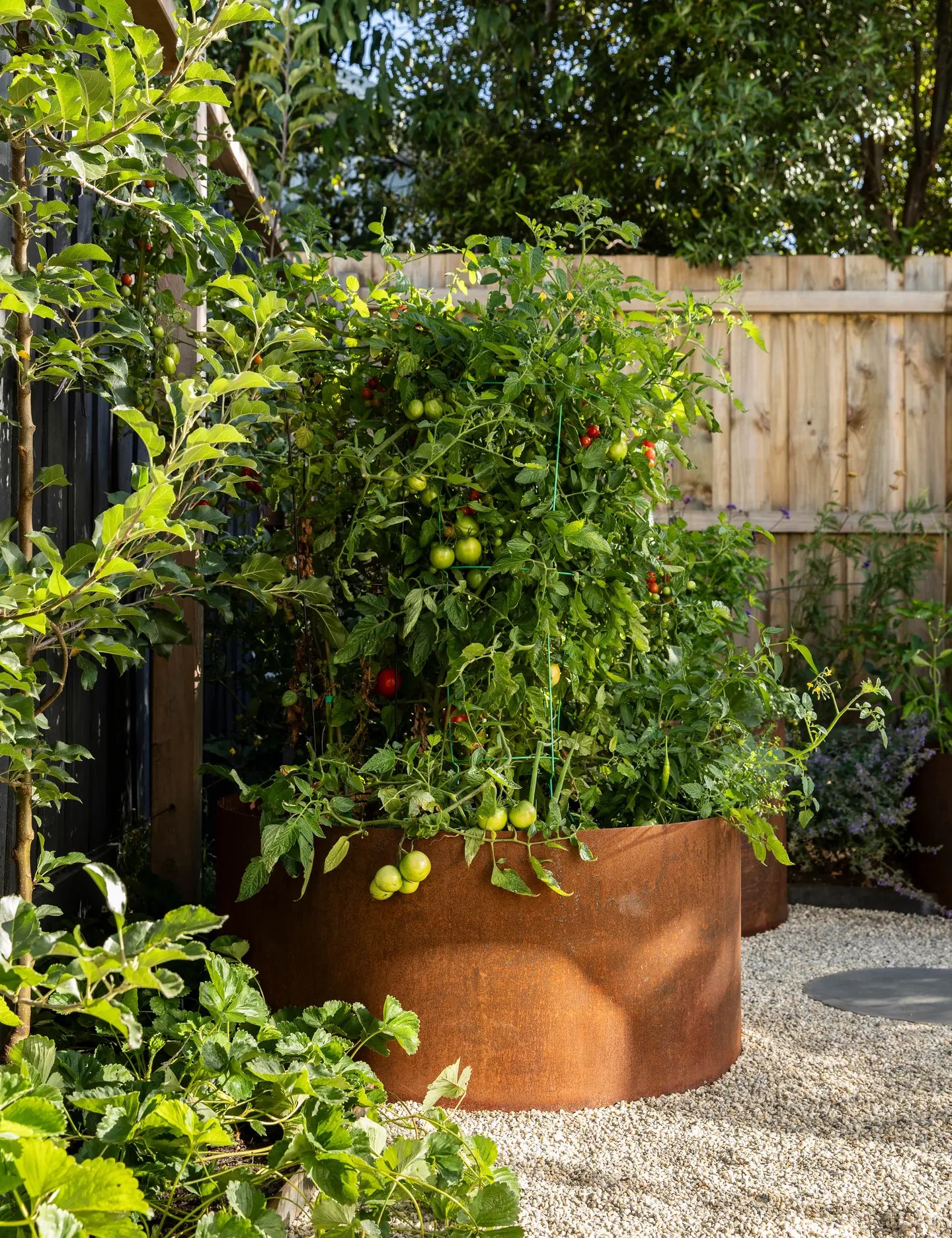 Pour concevoir un jardin bien structuré, il faut veiller à l'harmonie des lignes, des formes et des couleurs. L'important pour rendre un jardin harmonieux est de découper l'espace. La délimitation entre les zones de gazon, de dallage et de massifs fleuris va permettre de structurer l'espace.