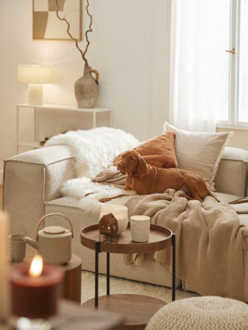 J&rsquo;aime Cosy Home Design : des Meubles qui Font la Différence