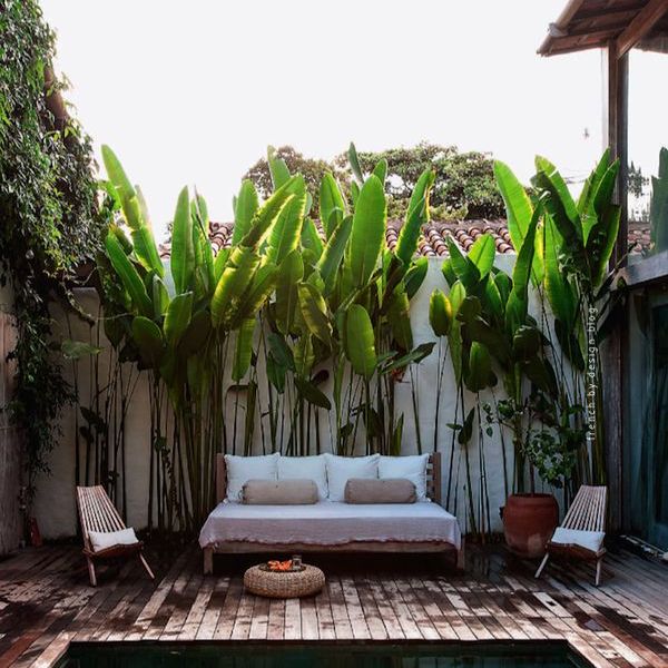 Trouvez Votre Coin de Paradis sur la&nbsp;Terrasse