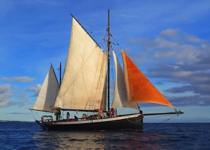 L&rsquo;île aux Moines à la presqu&rsquo;île de Rhuys : balade dans le golfe du&nbsp;Morbihan