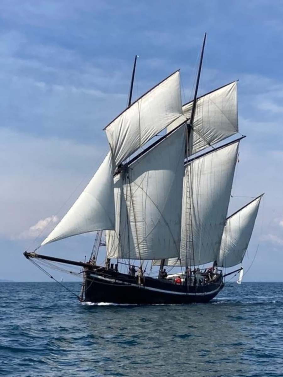 Semaine du Golfe 2025 : Célébration Maritime en&nbsp;Bretagne