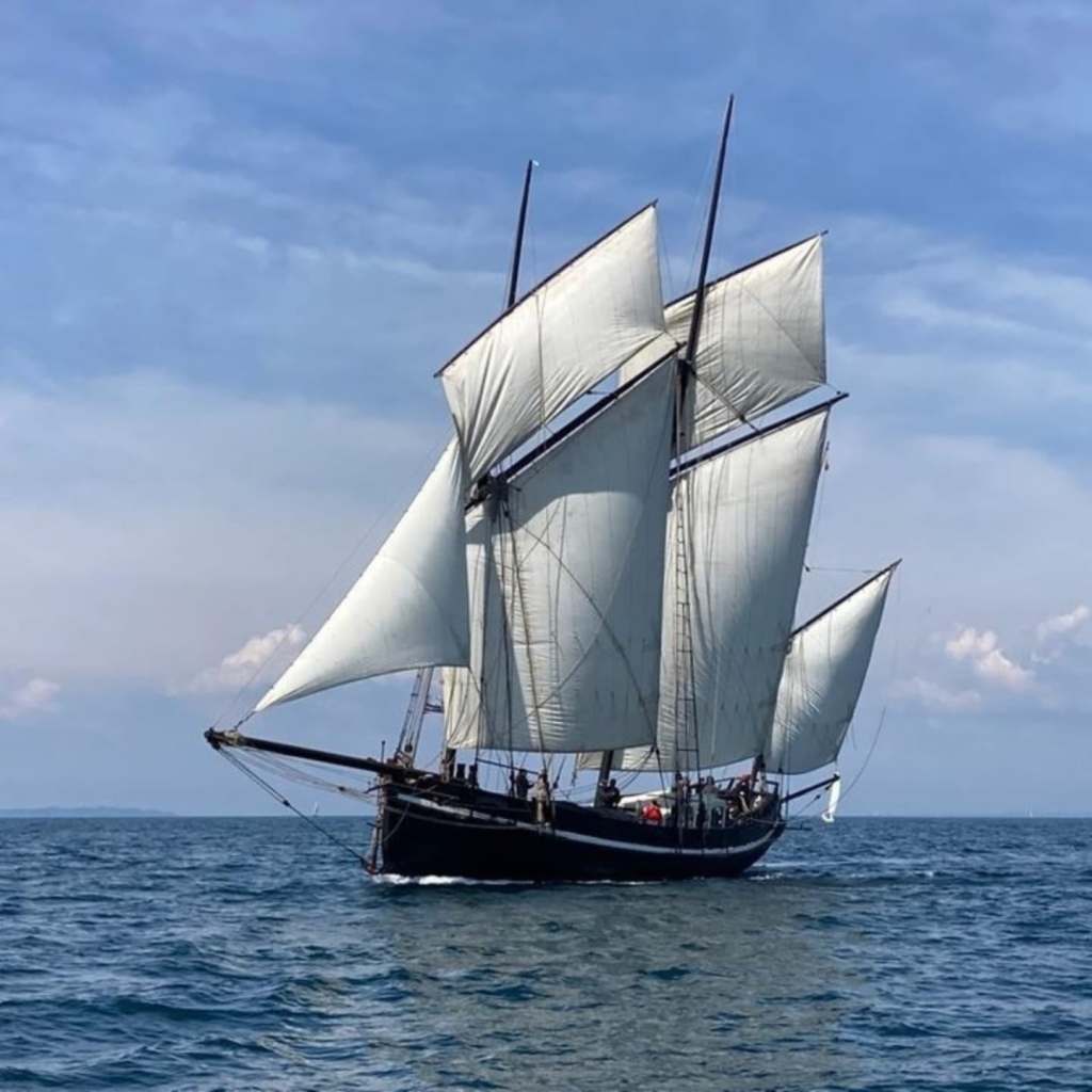 Semaine du Golfe 2025 : Célébration Maritime en&nbsp;Bretagne