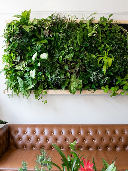 Inspirations pour créer un beau jardin vertical à la&nbsp;maison