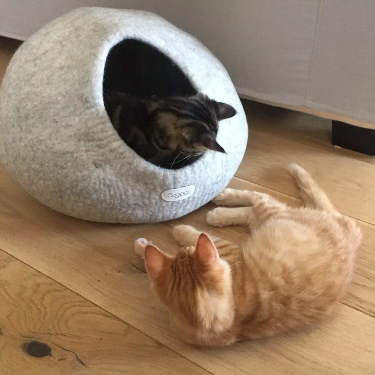 Pets : Meubles Design pour Chiens et Chats : Créez un Élégant Espace de&nbsp;Détente