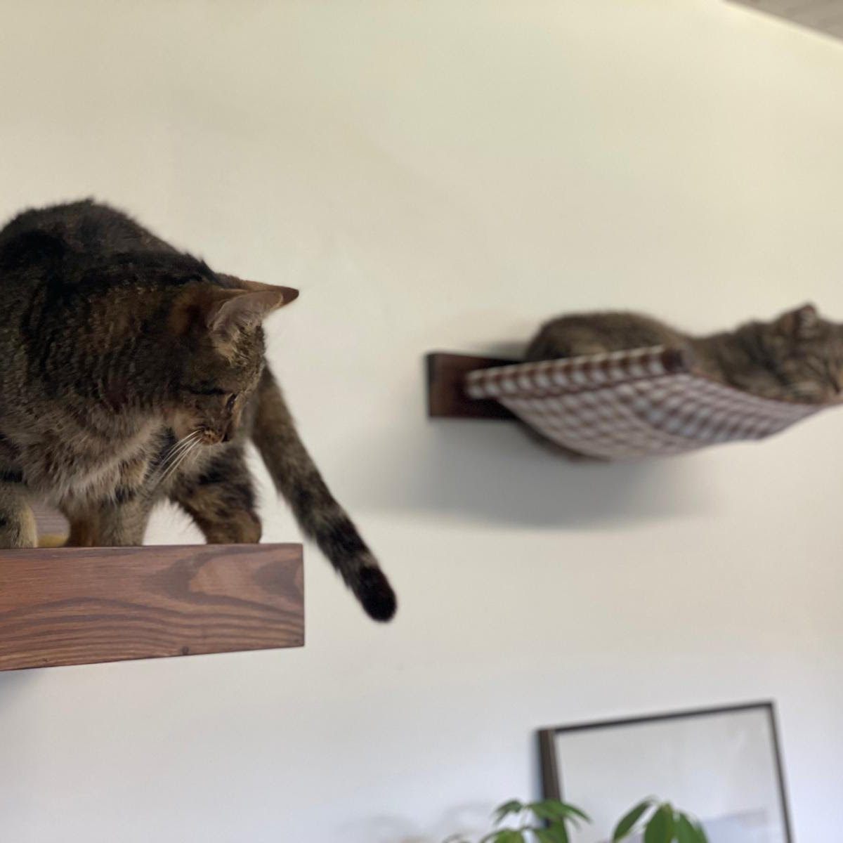 &nbsp;&raquo; Un mobilier animalier design et éco-responsable chez LE PACHAT&nbsp;&laquo;&nbsp;.