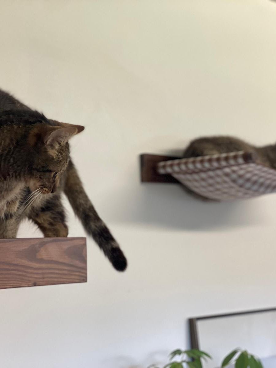 &nbsp;&raquo; Un mobilier animalier design et éco-responsable chez LE PACHAT&nbsp;&laquo;&nbsp;.