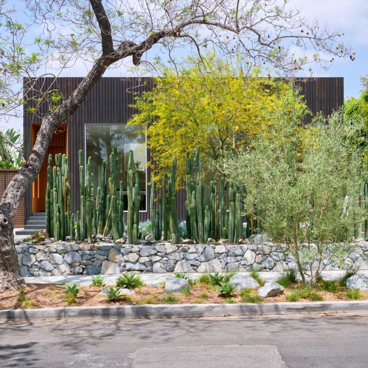 Des cactus ont été utilisés pour préserver l&rsquo;intimité de cette maison à Los&nbsp;Angeles.