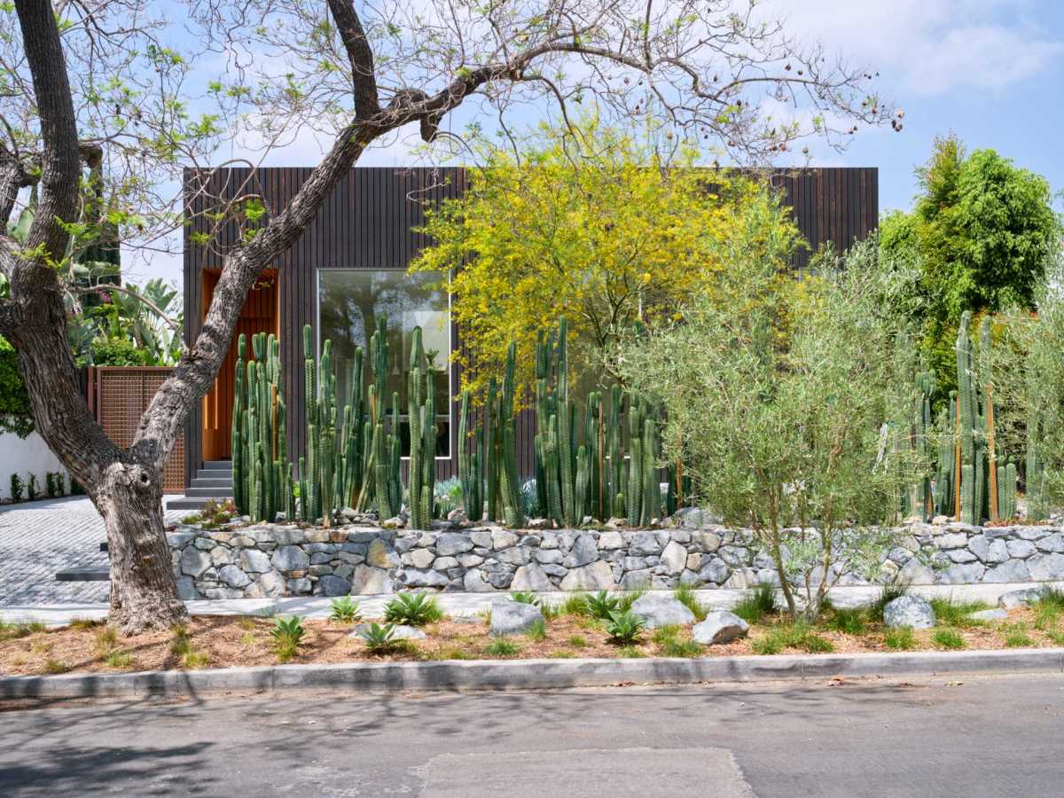 Des cactus ont été utilisés pour préserver l&rsquo;intimité de cette maison à Los&nbsp;Angeles.
