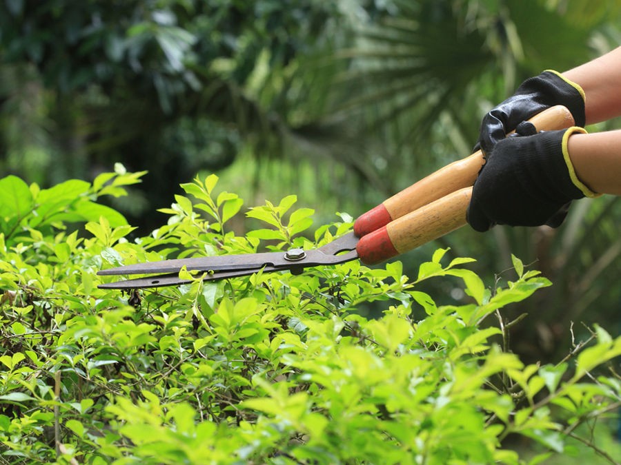Au Printemps C’est le moment de donner vie à ton jardin DIY