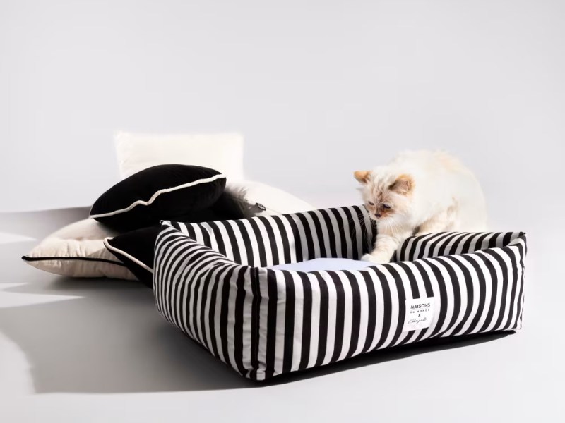La collaboration Choupette x Maisons du Monde 