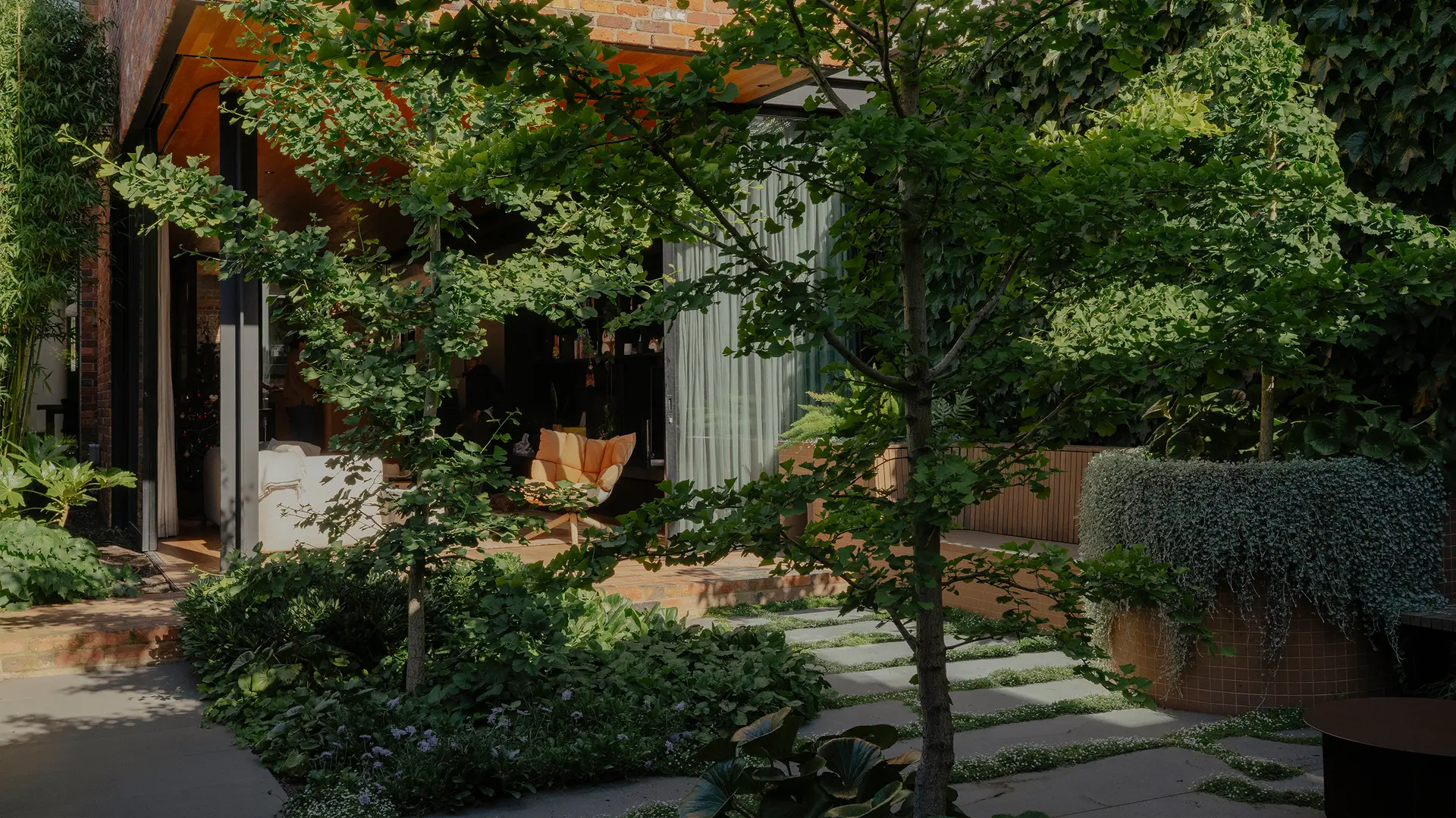 Comment  transformer un patio en une oasis luxuriante